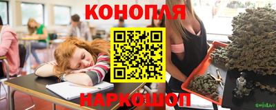 гашик Лесосибирск