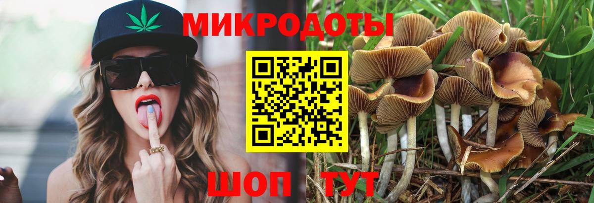 Псилоцибиновые грибы мухоморы  Вход с VPN  Заводоуковск 