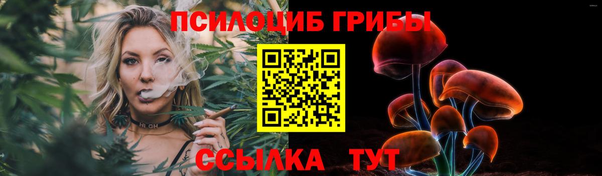 Псилоцибиновые грибы MAGIC MUSHROOMS Заводоуковск